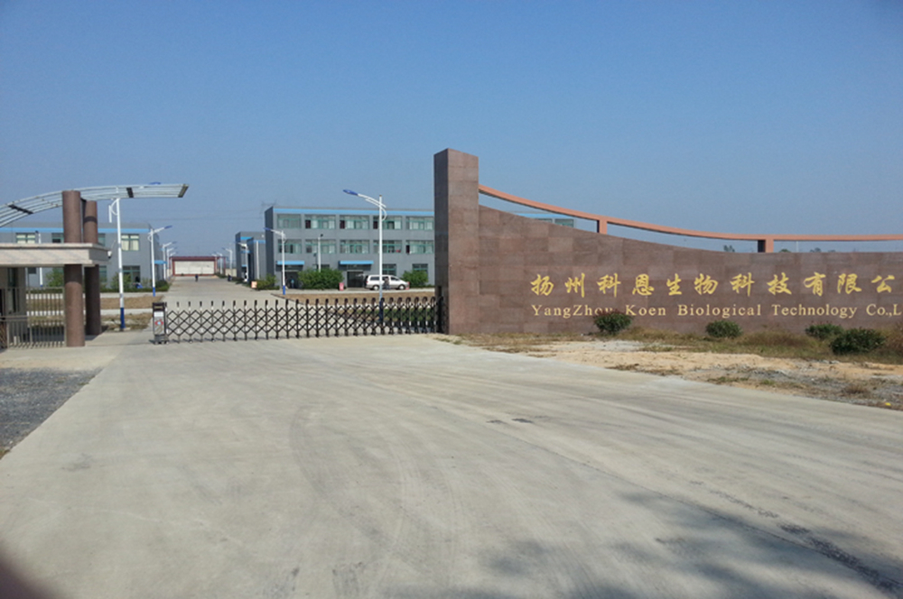 工厂图片